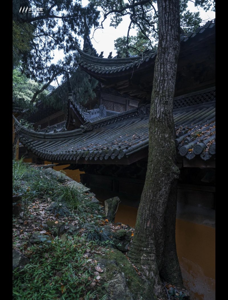 佛教寺院迎来新气象:智慧化管理与文化传播并重